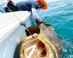 In addition to football, he also enjoys sports like fishing.